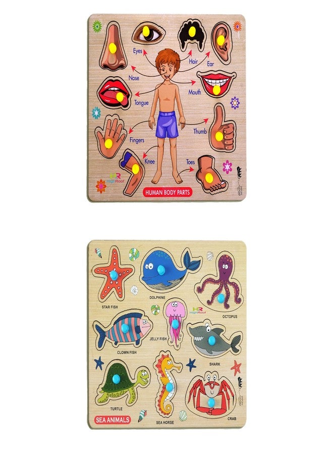 HIGHROOF® Kids Fort Pre Nursery Educational Jigsaw Puzzles for Adults Kids Learning Toys Kit Board Game 2 pcs Set of Human Body Parts & Sea Animals Educational Toy - Image 1